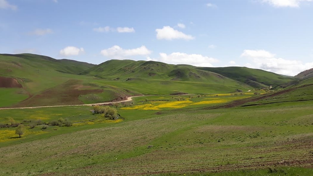 ERZURUM KÖPRÜKÖY ILICASU KÖYÜNDE 150M² ARSAMIZ SATILIKTIR - ERZURUM KÖPRÜKÖY fotoğraf 14